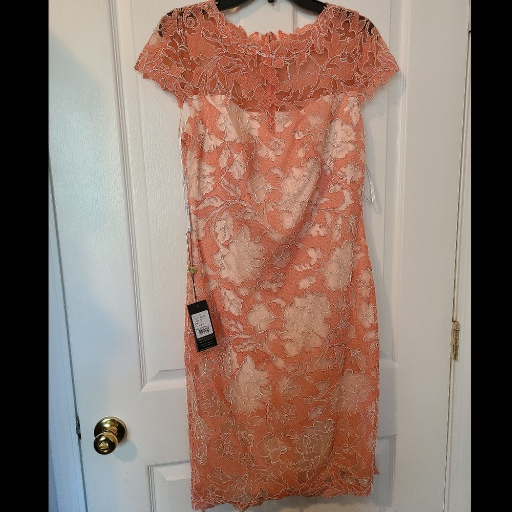Tadashi Shoji lace Dress